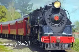 القطار 1