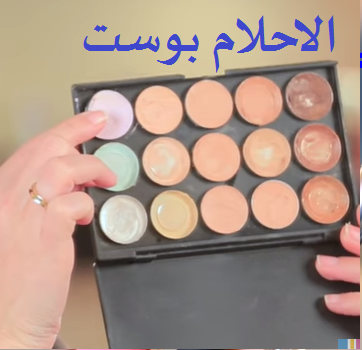 باليت المصحح