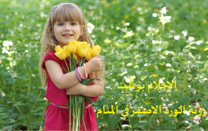 تفسير الورد الاصفر