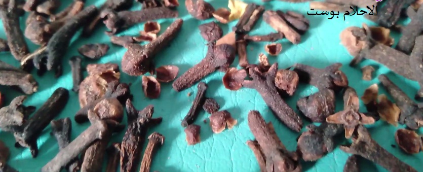 فوائد القرنفل للشعر 