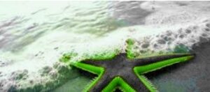 تفسير حلم نجمة البحر لابن سيرين