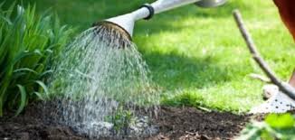 رؤية المزرعة الخضراء في المنام للرجل