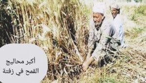 inbound6421290555055013928