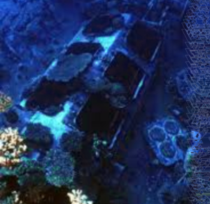 حطام سفينة في البحر الأحمر