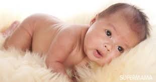 صفات اسم تيمية للولد