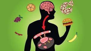 الأيض الأساسي