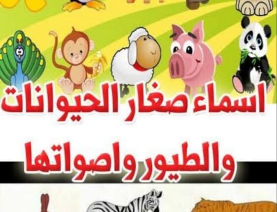 اسماء صغار الحيوانات