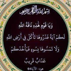 صالح عليه السلام