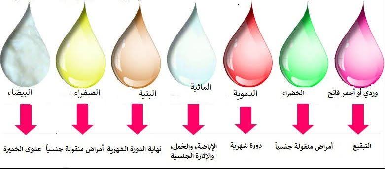 شكل إفرازات الحمل قبل الدورة بالصور