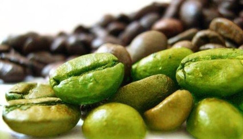 أضرار القهوة الخضراء