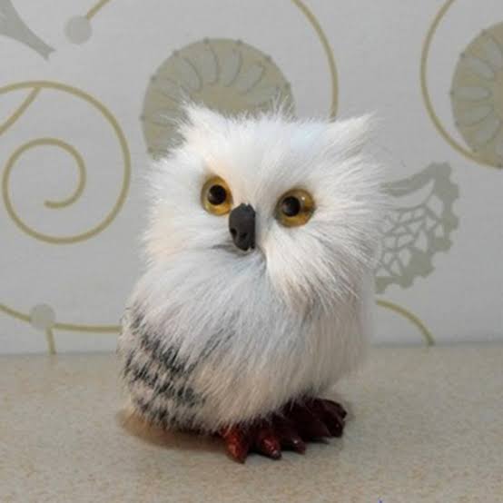 تفسير البومة في المنام للمرأة المتزوجة