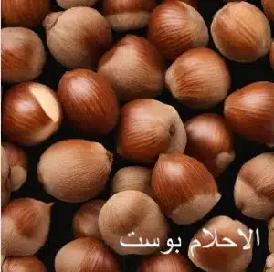 بندق