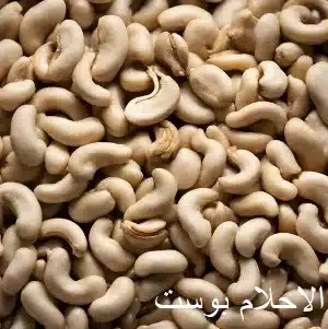 الكاجو jpg