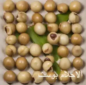 المكاديميا