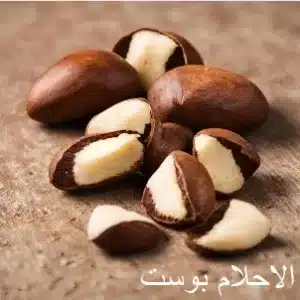 جوز برازيلي