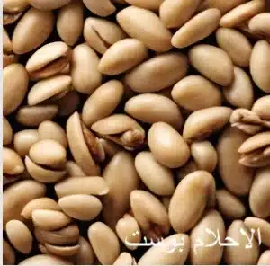 مكسرات الصنوبر