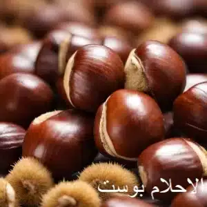 مكسرات الكستناء