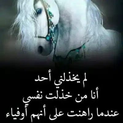 كلمات عن قلة الأصل