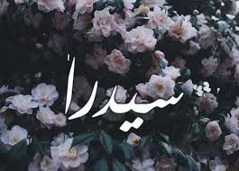 هل ذكر اسم سيدرا في القران