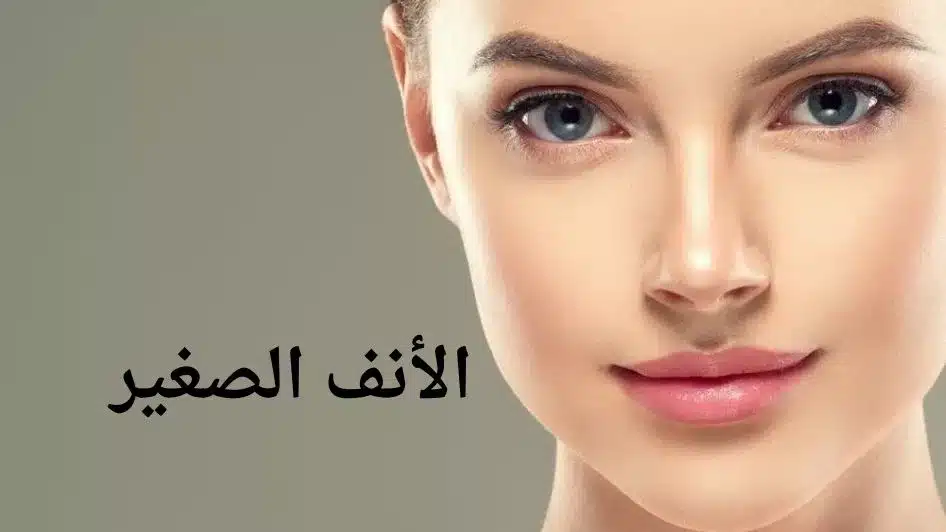 الأنف الصغير