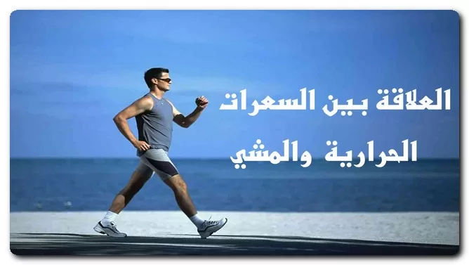 السعرات المحروقة في المشي السعرات المحروقة في المشي