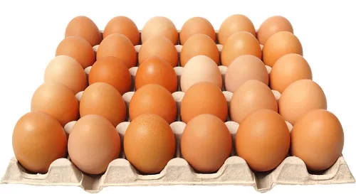 بيض jpg