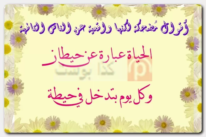 أقوال مُضحكة لكنها واقعية عن الناس التافهة أقوال مُضحكة لكنها واقعية عن الناس التافهة