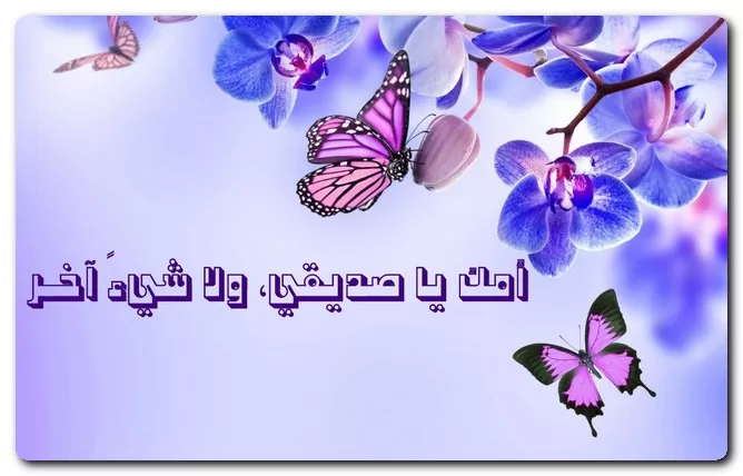 حكمة قصيرة عن الحياة . . معناها جميل جداً ♥ أقوال وحكم عن الحياة مكتوبة