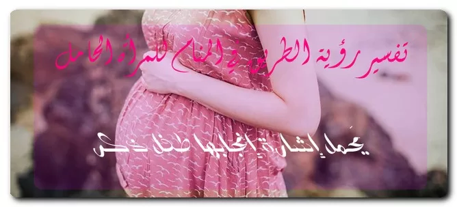 تفسير رؤية الطريق في المنام للمرأة الحامل تفسير رؤية الطريق في المنام للمرأة الحامل