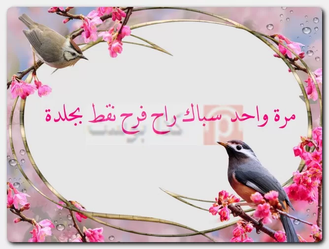 عبارات ساخرة عن الناس التافهة عبارات ساخرة عن الناس التافهة