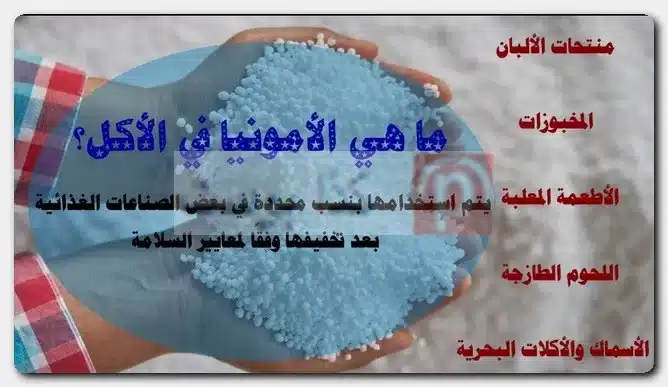 ما هي الأمونيا في الأكل؟ هل الأمونيا هي النشادر؟