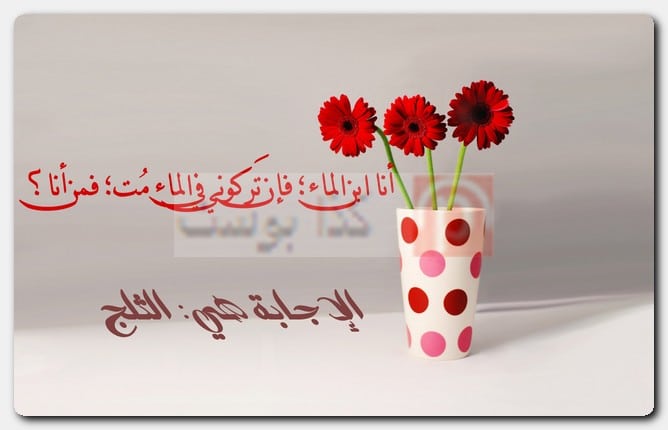 حزورات عراقية ممتعة بالصور