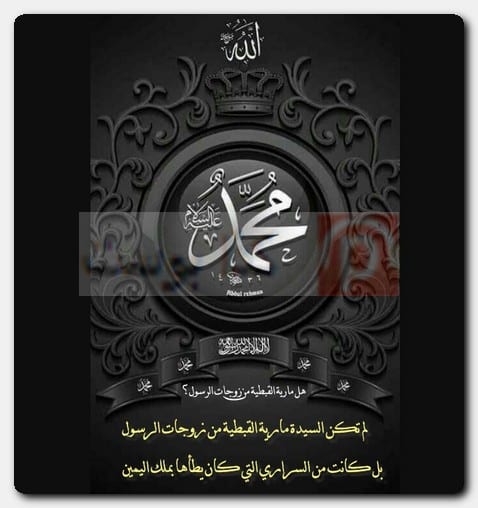 هل مارية القبطية من زوجات الرسول؟ عدد زوجات الرسول صحيح البخاري