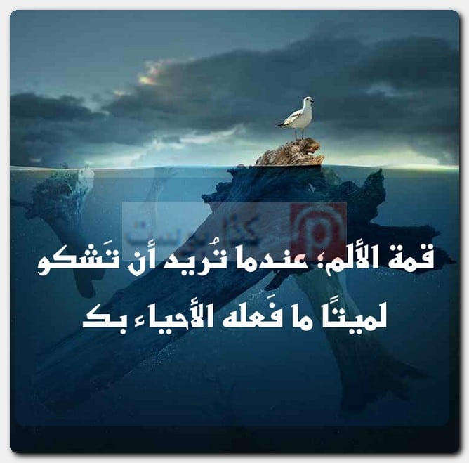 مجموعة مُنوعة من حالات واتس أب مُصورة مجموعة مُنوعة من حالات واتس أب مُصورة