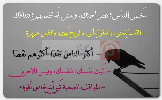 مجموعة مُنوعة من حالات واتس أب مُصورة مجموعة مُنوعة من حالات واتس أب مُصورة