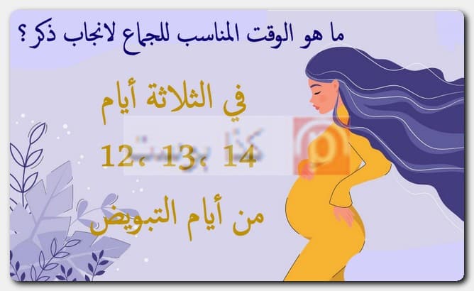 ما هو الوقت المناسب للجماع لانجاب ذكر؟ تجارب الحمل بولد أيام التبويض