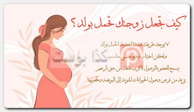 كيف تجعل زوجتك تحمل بولد؟ تجارب الحمل بولد أيام التبويض