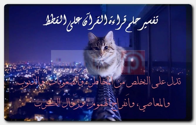 تفسير حلم قراءة القرآن على القطط