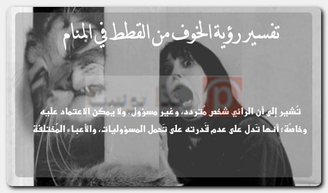 تفسير رؤية الخوف من القطط في المنام