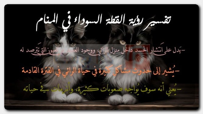 تفسير رؤية القطة السوداء في المنام
