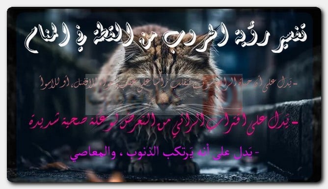 تفسير رؤية الهروب من القطة في المنام