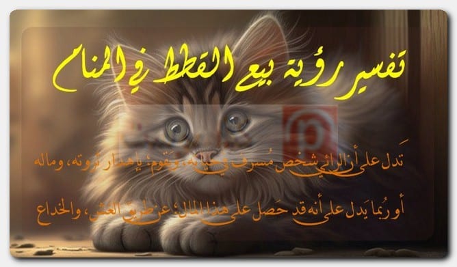 تفسير رؤية بيع القطط في المنام