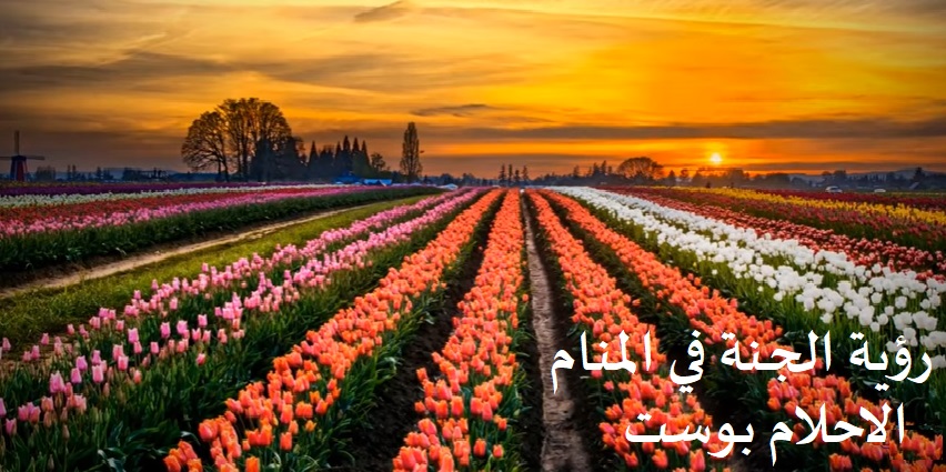 رؤية دخول الجنة تفسير رؤية الجنه في المنام