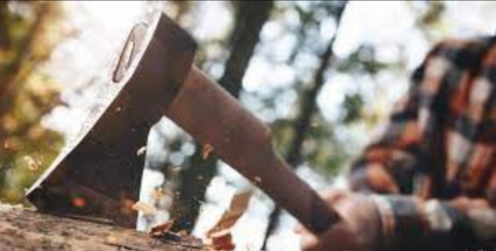 حلم الفأس للرجل