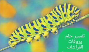 تفسير رؤية يرقات الفراشات في الحلم