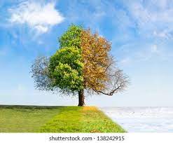 أهمية الفصول الأربعة وتأثيرها