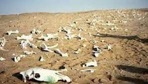 الاحتباس الحراري وأثره على البيئة