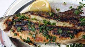 حكم اكل سمك الجري عند السنة