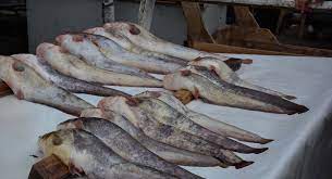 سبب تحريم السمك بدون فلس