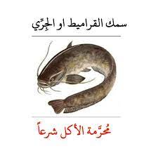 أسباب حرمة أكل سمك الجري في العراق